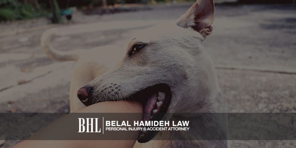 California Dog Bite Lawyer