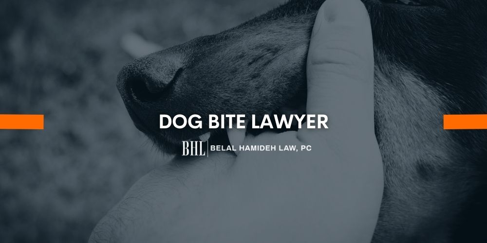 dog bite lawyer