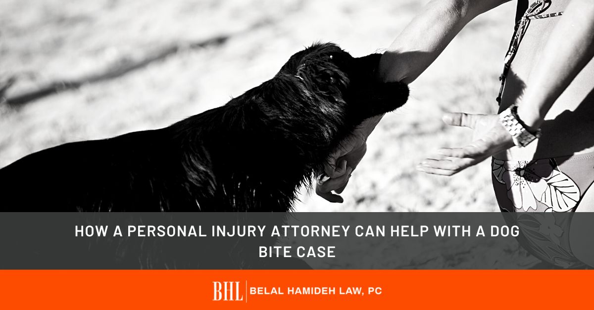 How a Personal Injury Attorney Can Help With a Dog Bite Case