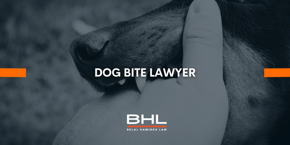 dog bite lawyer